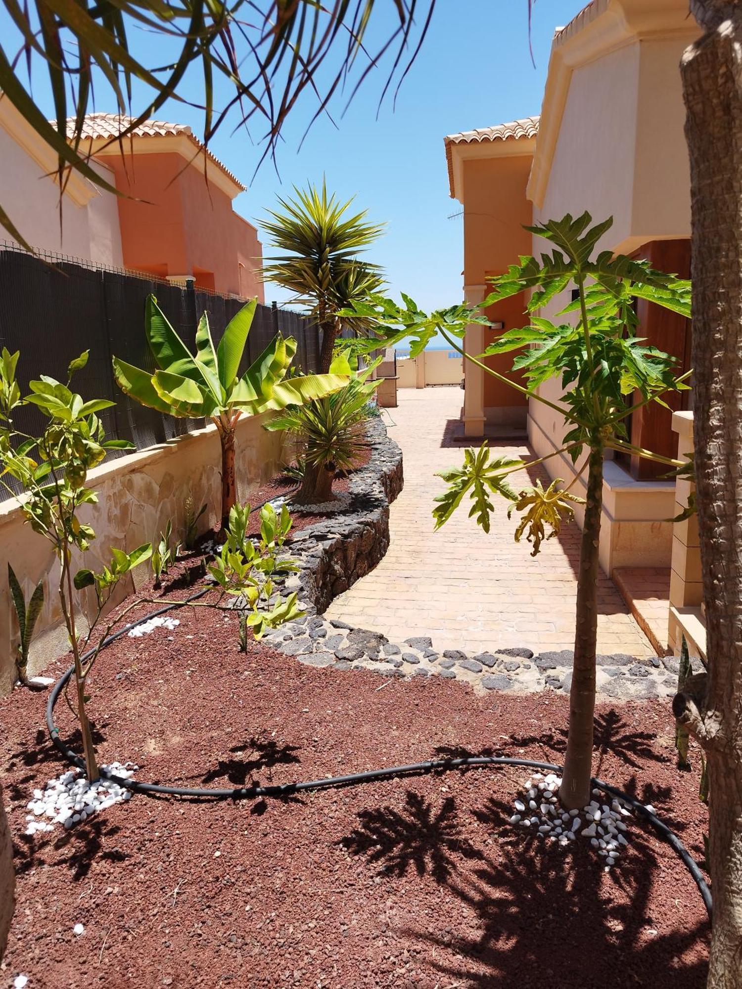 Casa Lily Villa